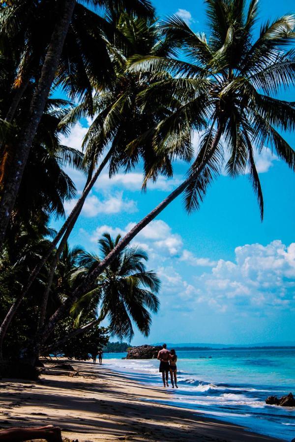 Chill Boutique Hotel Las Terrenas Exterior photo